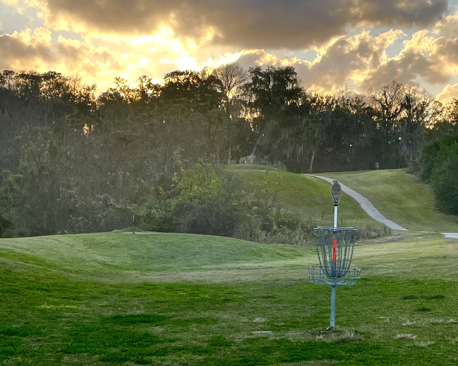 The Quarry Disc Golf Course disc golf course in Brooksville, Florida
