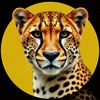 Duma (Cheetah) icon