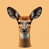 Funo (Dik-dik) icon