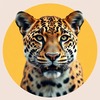 Chui (Leopard) icon