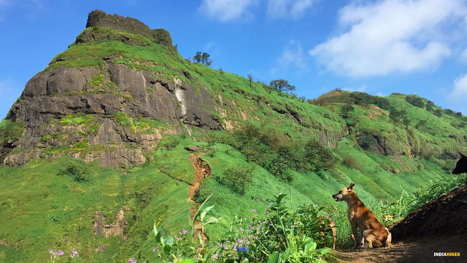 Vikatgad Fort (Peb Fort) in Karjat, Raigad