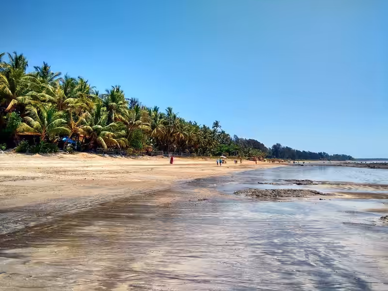 Kihim Beach in Alibag, Raigad