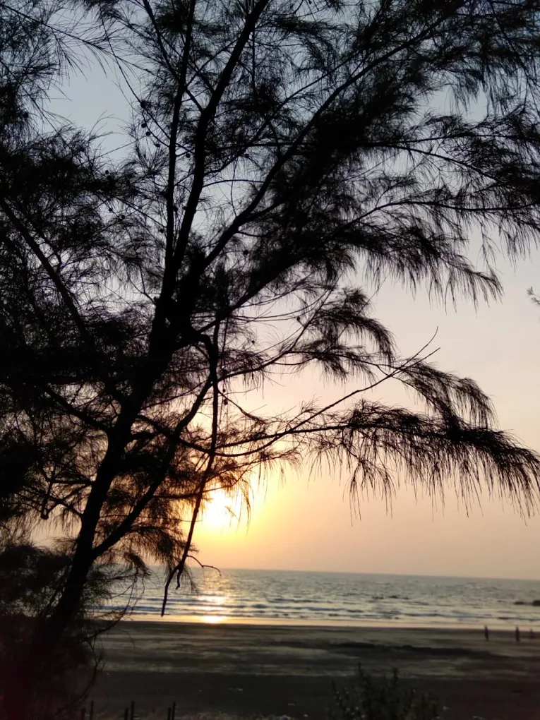 Sasawane Beach in Alibag, Raigad