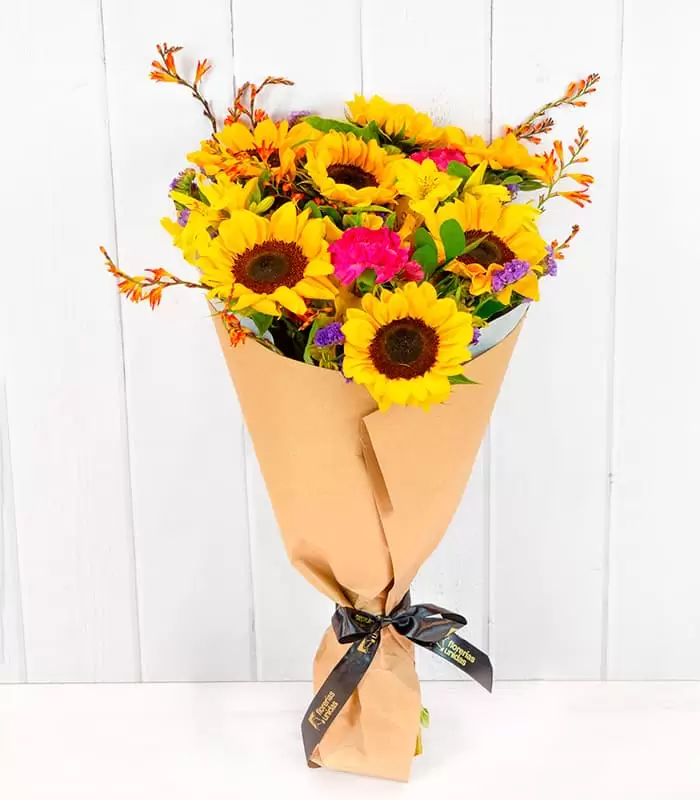 GIRASOLES