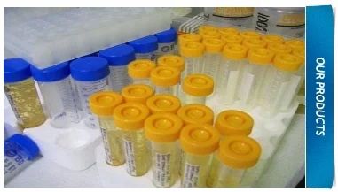 Plastic Blood Test Tube (3 ml)