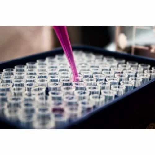Blood Test Tube
