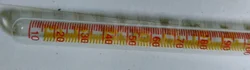 Haemometer Tube
