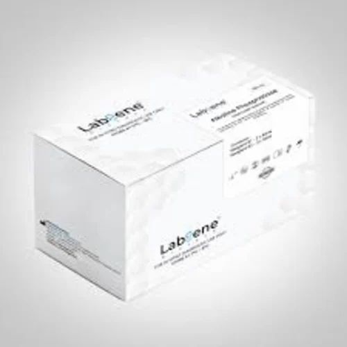 Alkaline Phosphatase (Kinetic)