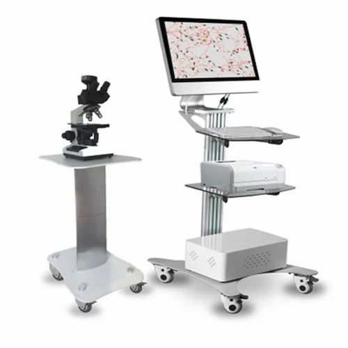 Computer Assisted Semen Analysis System