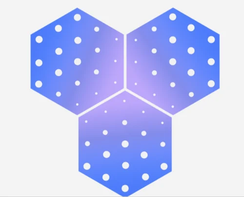 IBM InfoSphere Optim