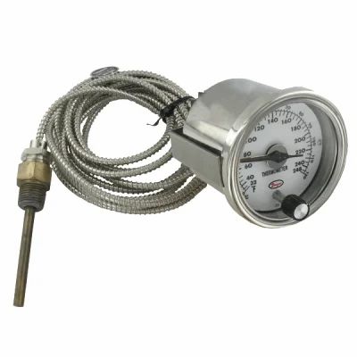 Dwyer Usa Remote Reading Thermometer