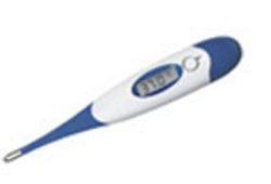 Electronic Thermometer