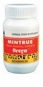 Mintrus