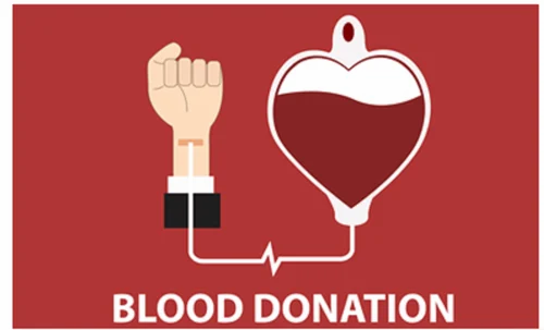 Blood Bank Equipments