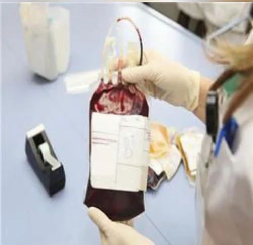 bcgbcv Gfhghnv Blood Bank Equipments, For Home Purpose, Model Name/Number: Ghghg