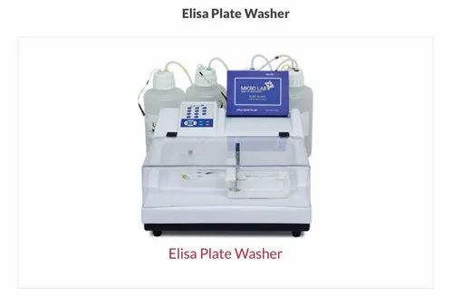 Elisa Washer