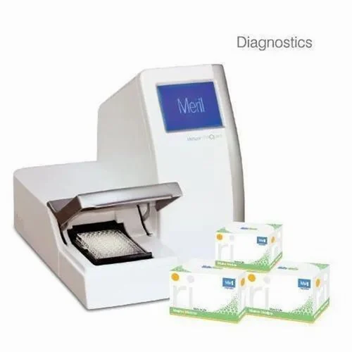 Meril Elisa Washer