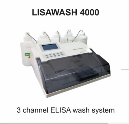 Lisa Wash