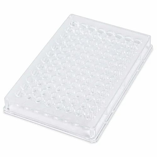 PP Dumpy Elisa Plate Flat Bottom