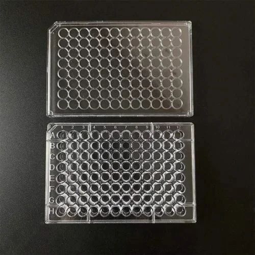 Polypropylene DUMPY ELIZA Plate U Bottom