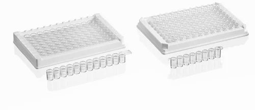 Elisa 96 Well Plate