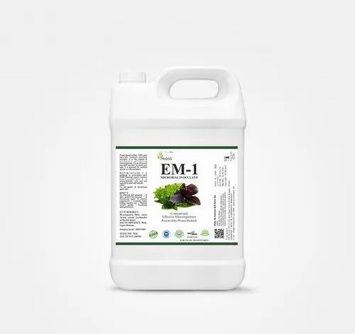 E M 1 Solution