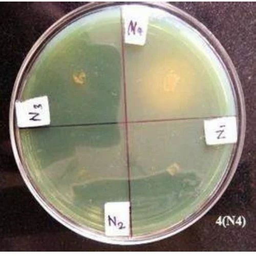 Nitrogen Fixing Microorganisms, 1 Litre