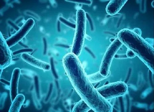 Micro Organism Treatment