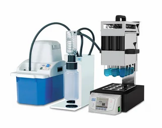 Protein Profiling and expression analysis