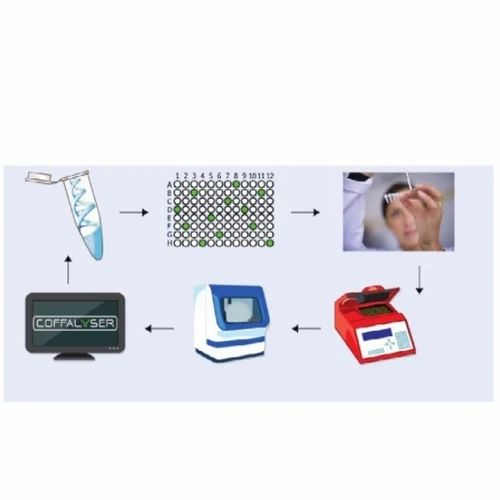 MLPA p043-apc salsa reagent kits for gastrointestinal and liver
