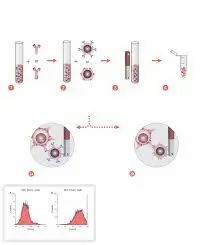 Tumor Kit Series