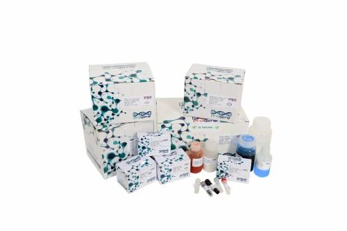 Progene Pro NuEx-mRNA Purification Kit