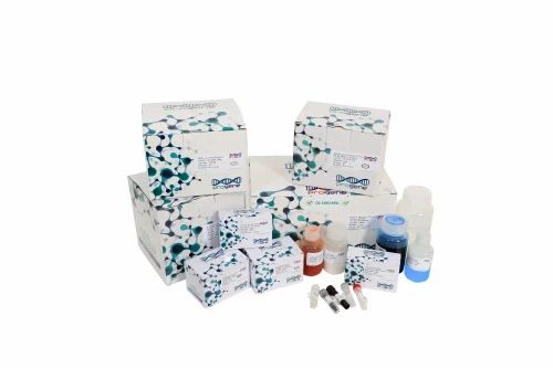 Progene Pro TechEx-PCR Amplification Of Beta Galactosidase Gene Teaching Kit