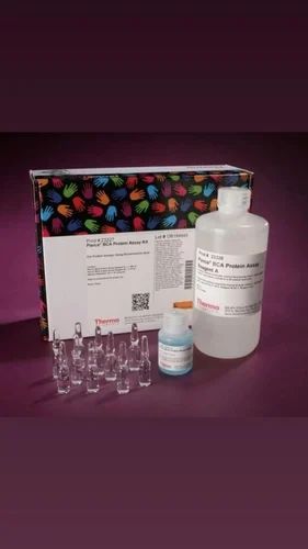 Lowry Protein Assay 1000 rxn, 100 Tests