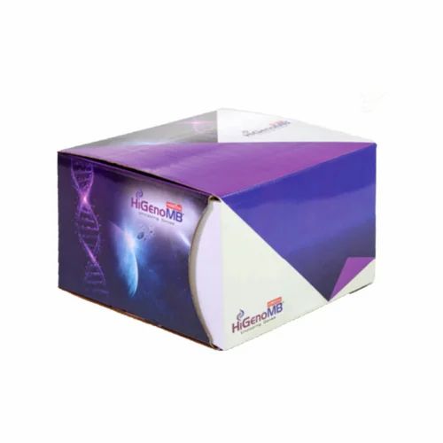 TEACHING KIT HIMEDIA, 4 pr