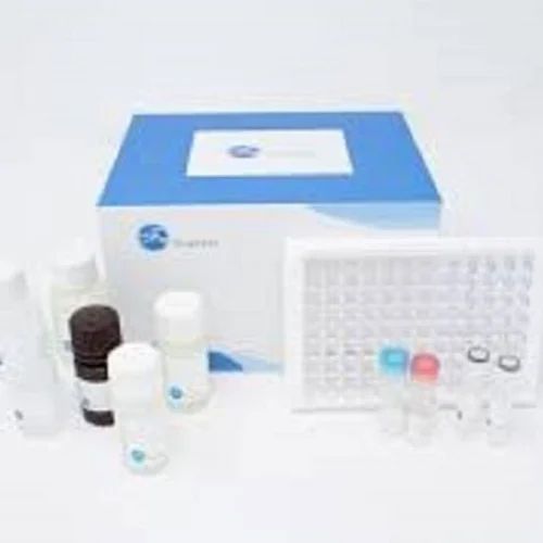 Testing Kit