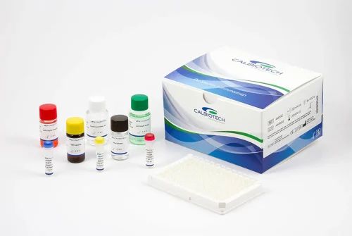 ESTRADIOL KIT CALBIOTECH