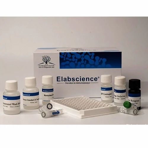 Elabscience Human Il 6 Kit