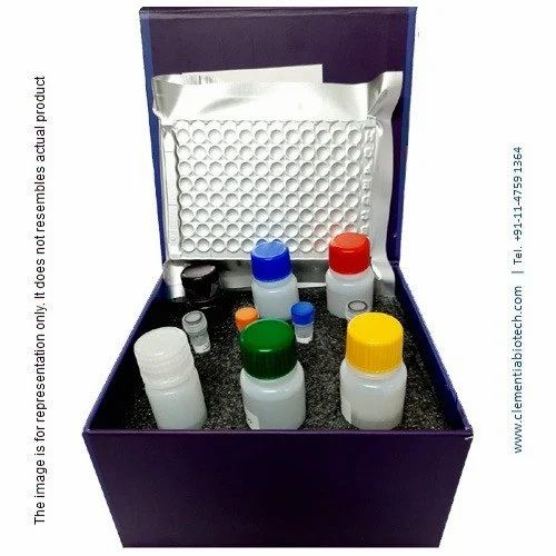 Human OPG (Osteoprotegerin)  Kit (Also available for Rat & Mouse) - Clementia Biotech