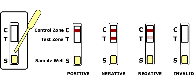 Nicotine Test Kit