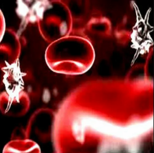Procalcitonin (PCT) Test, For Clinical