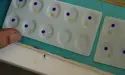 Serology Test Kit