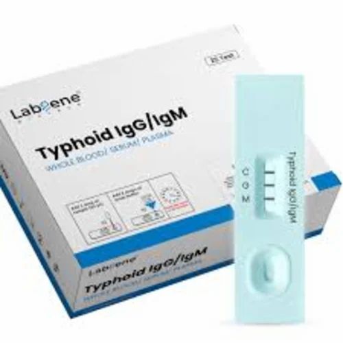 Typhoid IgG/IgM Rapid Test