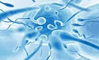 Semen Analysis