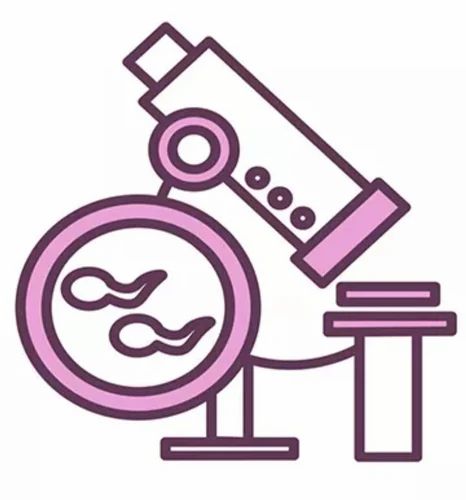 Semen Analysis