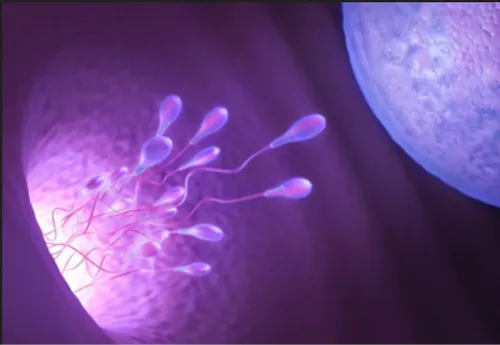Semen Analysis Service