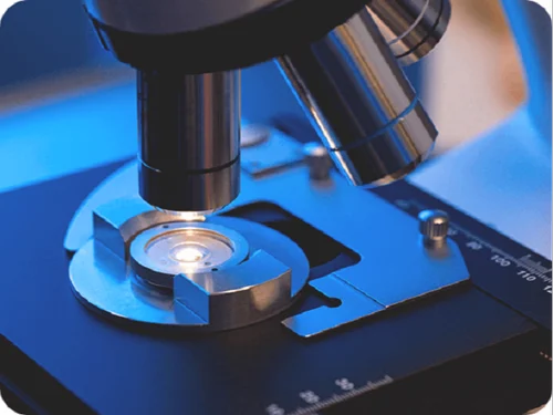 Semen Analysis