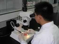 Semen Testing Centers Services