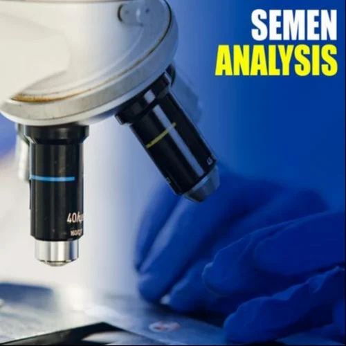 Sperm Analysis