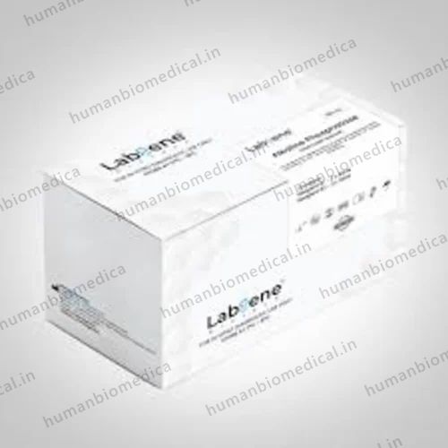 Alkaline Phosphatase (Kinetic) 2